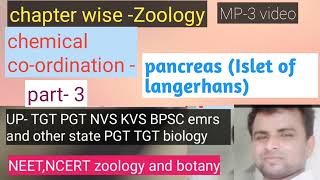 om bio study zone  islets of langerhansby Rksir [upl. by Crudden]