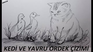 Hayvan Resmi Çizimleri  Karakalem Çizimi  Kedi ve yavru ördek [upl. by Tohcnarf]