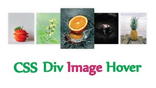 Css Div Image Hover  Html Css image card hover effect [upl. by Rosie]