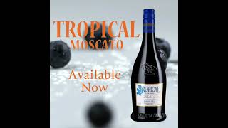 NEW Tropical Blueberry Moscato [upl. by Aicat]