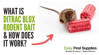 What Is Ditrac Blox Rodent Bait amp How Does It Work [upl. by Anelav998]