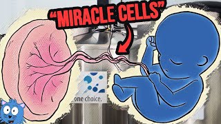 Summarising the Cordlife Saga amp Simplifying What Cord Blood is So a 5YearOld Can Understand [upl. by Aicenat]