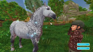 SSO Achat du Cheval PERCHERON [upl. by Reffotsirhc167]