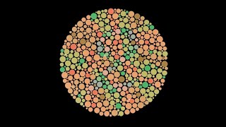 Colourblind Test  Can you see every colour [upl. by Ehcram]