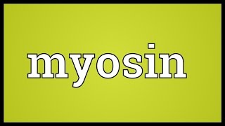 Myosin Meaning [upl. by Dorca]