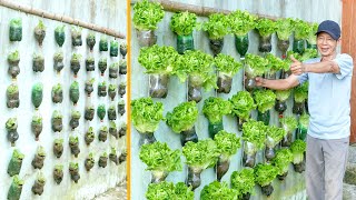 Vertical Vegetable Gardens Are Convenient And Great Good Ideas For Dont Have A Garden [upl. by Golanka]