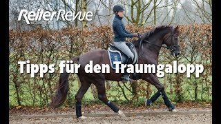 Tipps für den Traumgalopp [upl. by Cioffred523]