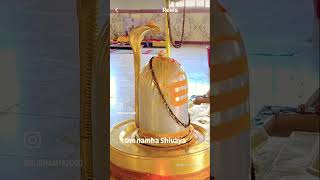 haraharamahadev lordshiva omnamahshivaya damarukam youtubeshorts om devotional [upl. by Mariande]