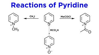 Heterocycles Part 2 Pyridine [upl. by Alyos546]