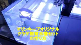 とてもシンプルな仕組！！クラゲ飼育水槽セットの作り方海水魚サンゴ販売店マリンキープ [upl. by Mraz]