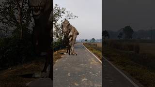 T rex chase dinosaur shortsdinosaurtrendingviralvideoshorts [upl. by Lihas]