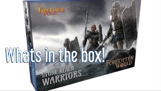 Unboxing Stone Realm Warriors from FireForge [upl. by Aksel]