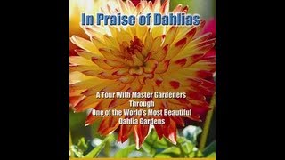 In Praise of Dahlias  Movie Trailer [upl. by Iznek959]