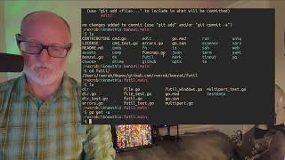 📺 Golang CLI tools with Bonzai 🌳 [upl. by Alidia]