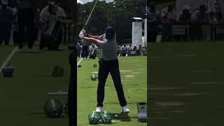 Rory McIlroy Iron Swing FO [upl. by Nodnarbal]