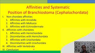 Affinities of Cephalochordata [upl. by Nahtahoj309]