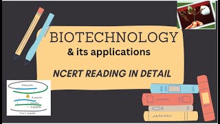 CH10  BIOTECHNOLOGY amp ITS APPLICATIONS  CLASS 12TH  NEW NCERT READING IN DETAIL  🙌🩺🎯⏲🤟 [upl. by Atnima]