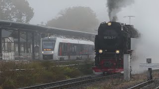 Harzer Schmalspurbahn 2024  Nebelschwaden auf der Selketalbahn  quotGoldener Oktoberquot [upl. by Ume66]