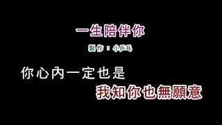 演唱版詹雅雯一生陪伴你DIY卡拉OK字幕 [upl. by Welsh902]