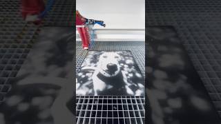 Photo laser engraving of our office dog laserengraving lasercutting [upl. by Idet]