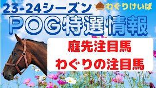 【2324シーズンPOG特選情報】庭先取引とわぐり注目馬編 [upl. by Trudey]