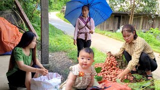 Full video husband is missing harvesting agricultural products to bring to the market [upl. by Glennon46]