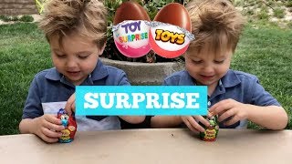 Twins FIRST SURPRISE Eggs 😱 WOW Toys [upl. by Aynatahs]