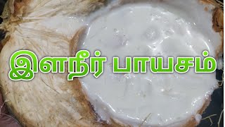 இளநீர் பாயசம்  elaneer payasam recipe in tamil  tender coconut recipe in tamil [upl. by Konyn352]