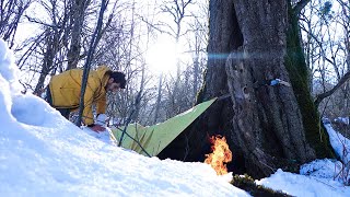 Winter Camping in DEEP SNOW Building a Shelter with Tree Trunk [upl. by Modla]