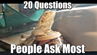 20 Beardie Questions Asked Most [upl. by Alrahs]