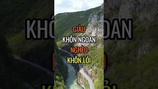 Giàu KHÔN NGOAN  Nghèo KHÔN LỎI  DBDMoney shorts [upl. by Fernas345]