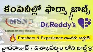 DR REDDYS LABORATORY • MSN JOBS IN VIZAG FOR FRESHERS amp EXP  HYDERABAD JOBS  SUCCESS DRIVE తెలుగు [upl. by Hortensa]