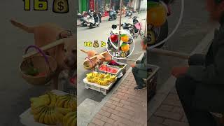 狗狗買水果算帳比人還精Dogs are better at settling accounts when buying fruit than humans [upl. by Ecilahc]