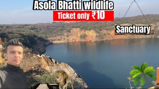 Neeli jheel  Asola bhatti wildlife Delhi ncr  full information [upl. by Amme305]