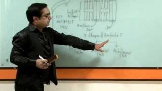 Nerve Impulse TransmissionDr Sachin Kapur [upl. by Eneleh]