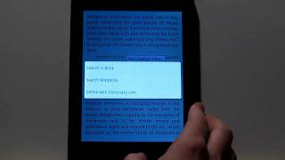 Pandigital Planet Android Tablet with Kindle App Review [upl. by Fairweather]