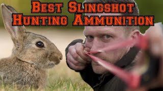 Catapult  Slingshot Ammo Choice for Hunting [upl. by Culosio]