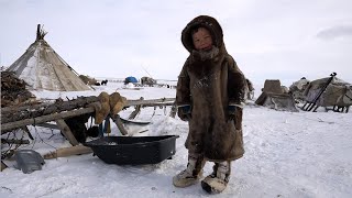 Children of TUNDRA Winter Everyday life of nomads North of Russia Nenets [upl. by Silisav]