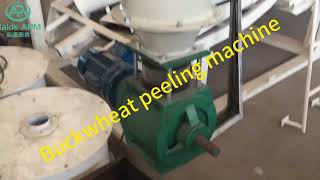 Buckwheat Seed Peeling Machine Hulling Machine Plant peeling dehulling buckwheat buckwheat seed [upl. by Aleil]