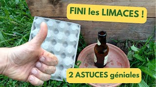 FINI les LIMACES au POTAGER 2 ASTUCES géniales [upl. by Drawyeh134]