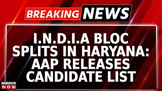 Haryana Assembly Poll AAP Reveals List Of 20 Candidates INDIA Bloc Splits Amid Congs 3 Seat Offer [upl. by Baese]