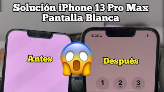 Como Reparar Pantalla Blanca iPhone 13 Pro Max [upl. by Leziar]