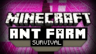 Ant Farm Survival  Ep 10  E3 amp Melons [upl. by Lap559]