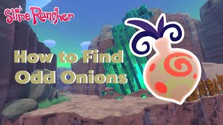 How To Find Odd Onion Slime Rancher Tutorial [upl. by Gnuhc]