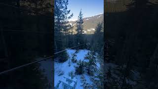 Zip line whistler [upl. by Suqram]