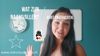 mevrouwduits Wat zijn naamvallen en hoe ontleed je een zin [upl. by Ellenrad887]