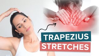 9 Effective Trapezius Stretches to Release Trapezius Pain and Tightness [upl. by Gavrah]