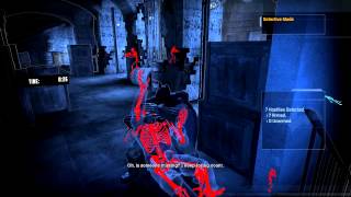 Batman Arkham Asylum Nocturnal Hunter Predator Challenge Walkthrough 11339 [upl. by Seugram]