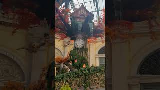 New Bellagio Exhibit shorts bellagioconservatory vegas travelvlog bellagio vegasisfun [upl. by Edie]