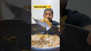 Why Mealworms Might Be Your Next Breakfast [upl. by Otrebla288]